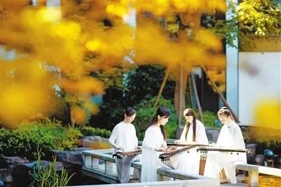 640(8).png 640(8).png