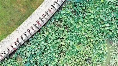 640(10).png 640(10).png