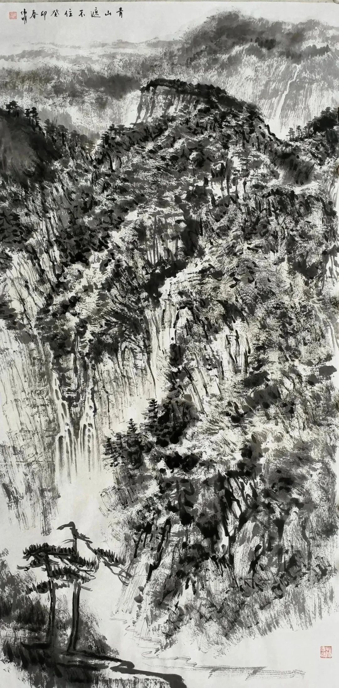 640(20).png 640(20).png