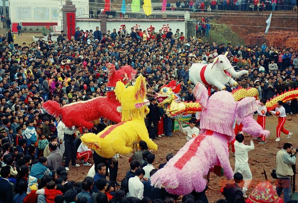 (2)九狮拜象在平富乡表演—叶卡摄 (复制).jpg